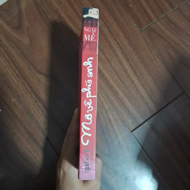 Mơ về phía anh - ngải mễ 706574