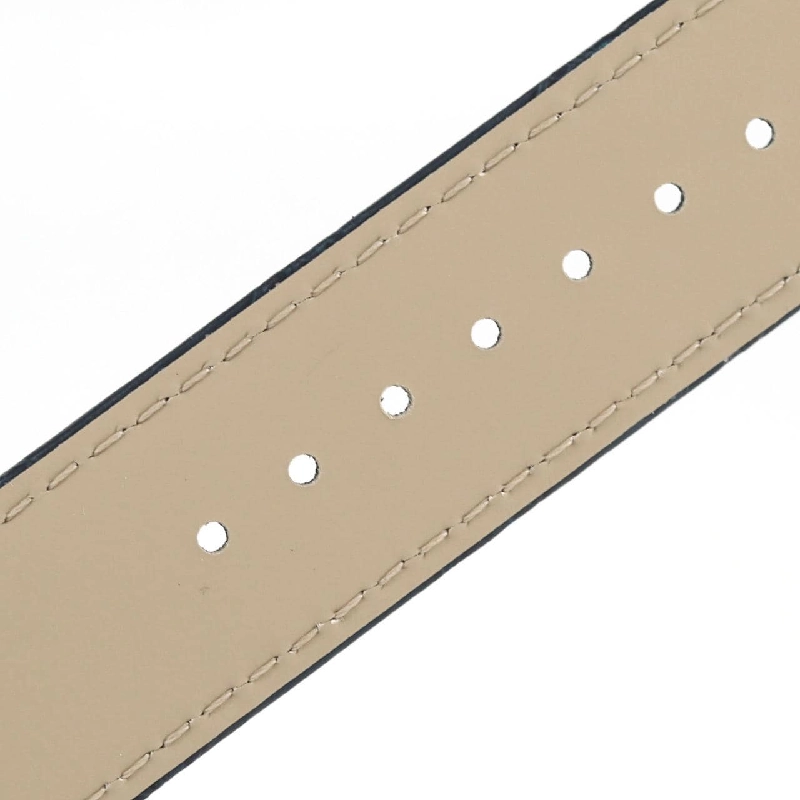 Cartier Santos-Dumont XL WSSA0032 SS Cơ khí - Hàng hiệu Chính hãng 881996