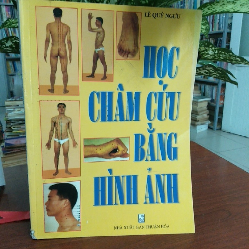 HỌC CHÂM CỨU BẰNG HÌNH ẢNH 224351