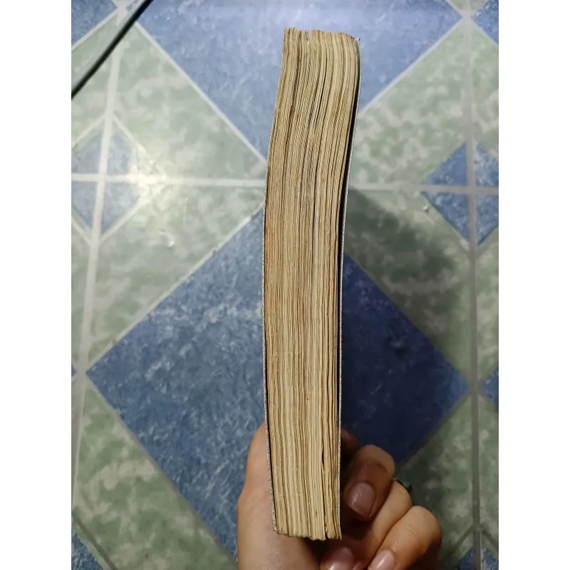 Người đi vắng - Nguyễn Bình Phương 993617