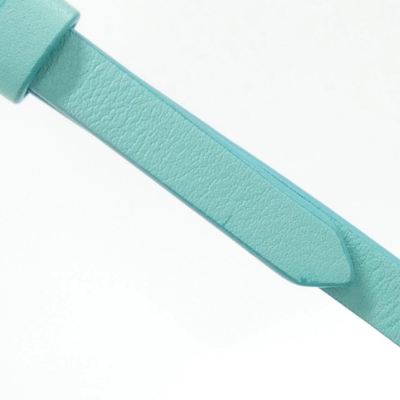 Túi Tiffany - Hàng hiệu Authentic 804831