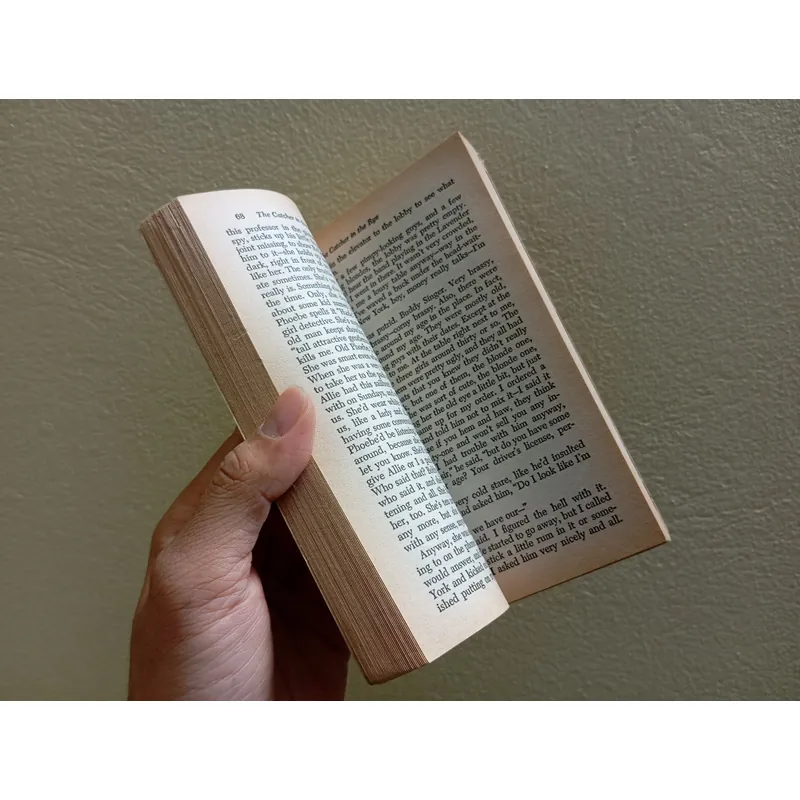 The catcher in the rye, sách ngoại văn tiếng Anh english book  736003