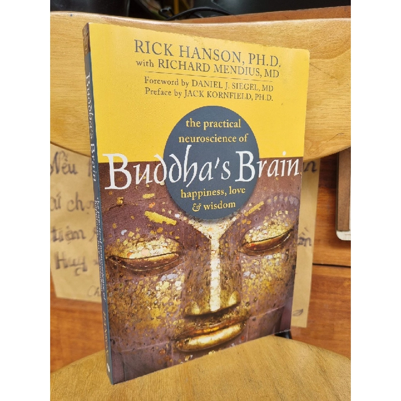 BUDDHA'S BRAIN: THE PRACTICAL NEUROSCIENCE OF HAPPINESS, LOVE, AND WISDOM - RICH HANSON, Ph.D WITH RICHARD MENDIUS, M.D 120849