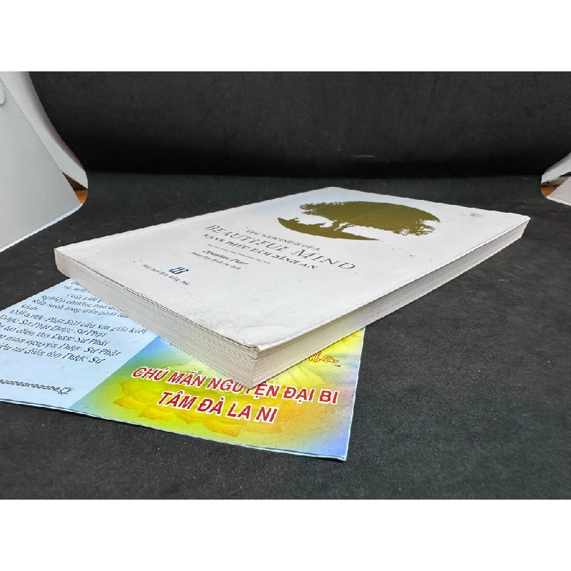 The Happiness Of A Beautiful Mind, Hạnh Phúc Tâm Bình An, Dipankara Theri, Mới 90%, 2018 SBM0609 450482