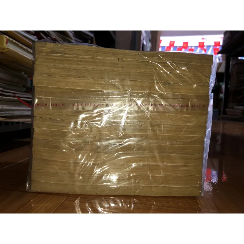 Youth gone wild - Tuổi trẻ cuồng nhiệt -Nicky Lee 779658