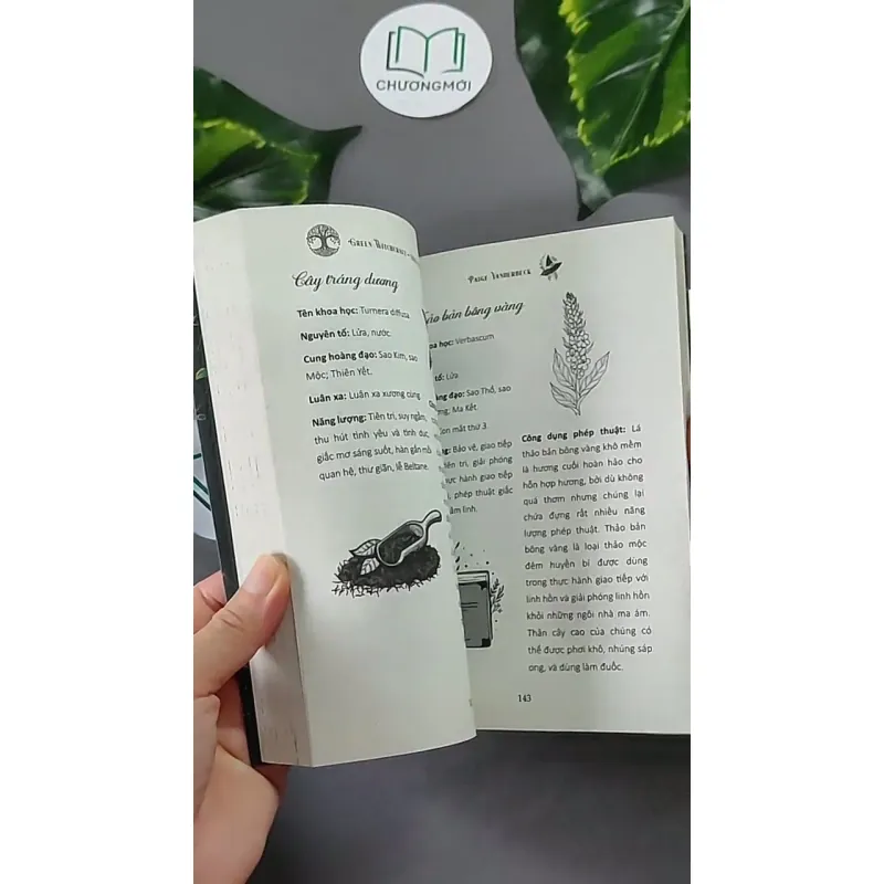 [MIỄN PHÍ BỌC SÁCH] Năng Lượng Từ Thảo Mộc - Paige Vanderbeck 604646