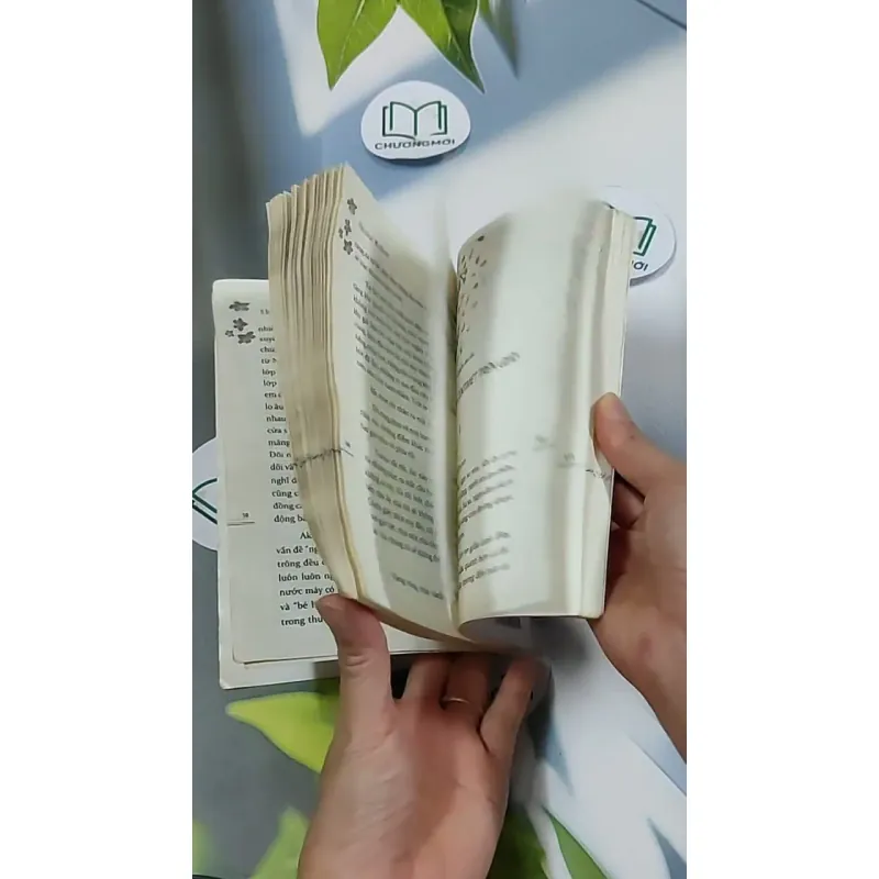 5 Centimet Trên Giây 703127