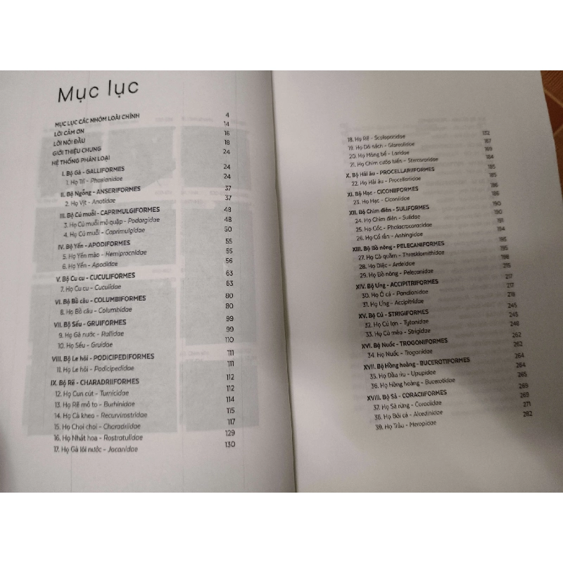 Remake Các loài chim Việt Nam - 821 trang - LỊCH SỬ - CHÍNH TRỊ - TRIẾT HỌC - ANTQ2911-75 712666