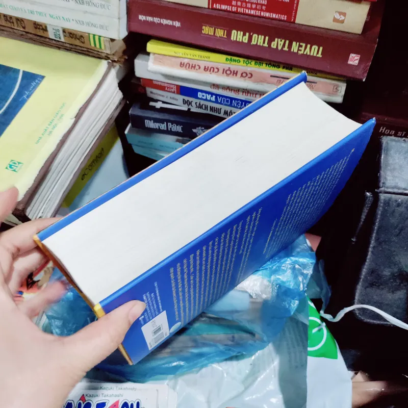 Van  Gogh dịch Ngô Đức Trung, Vũ đình thắng , trần khả ái, bùi  duy trung. 673730