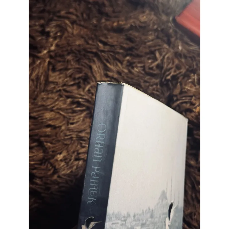 Những màu khác 1022212