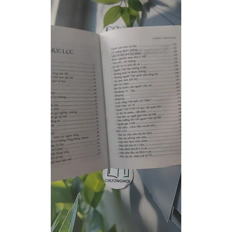 Vỡ Mộng Thiên Đường - Người Việt tha phương trên đất  Mỹ - Anh Thư 928493