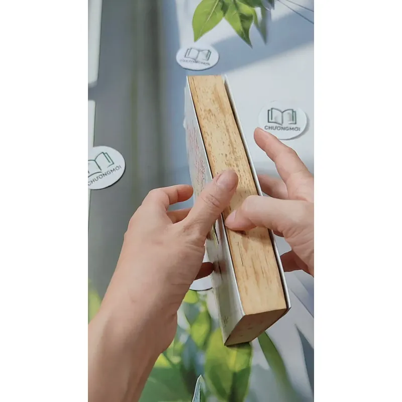 Tôi Như Ánh Dương Rạng Rỡ - Cố Mạn 744697