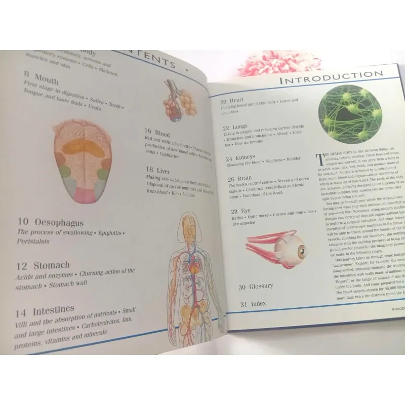 The Incredible Journey Through the Human Body 1002083