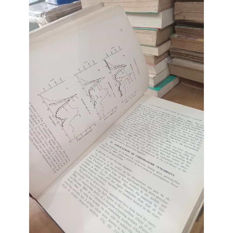 Cell Synchrony: Studies in Biosynthetic Regulation - Ivan L. Cameron, George M. Padilla 1023642