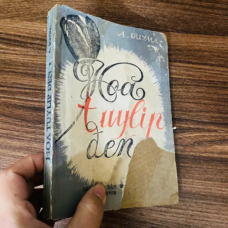 Hoa tuylip đen - A, Dumas 960882