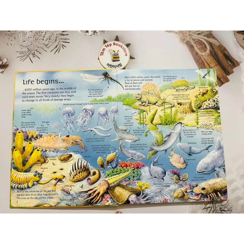 Sách See Inside the world of Dinosaurs 756905