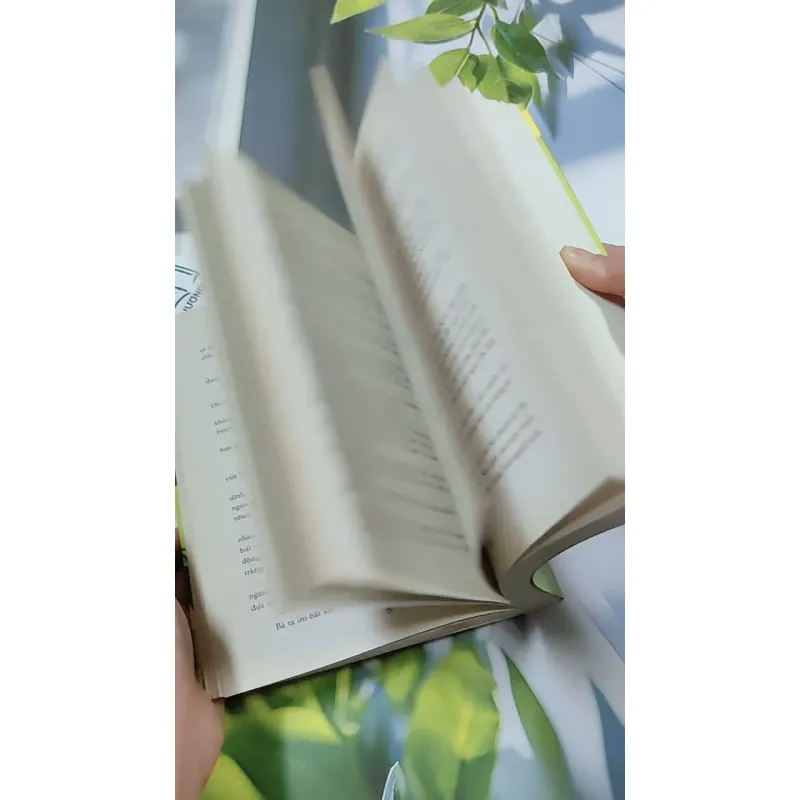 Tín Đồ Shopping Và Chị Gái - Sophie Kinsella 744775