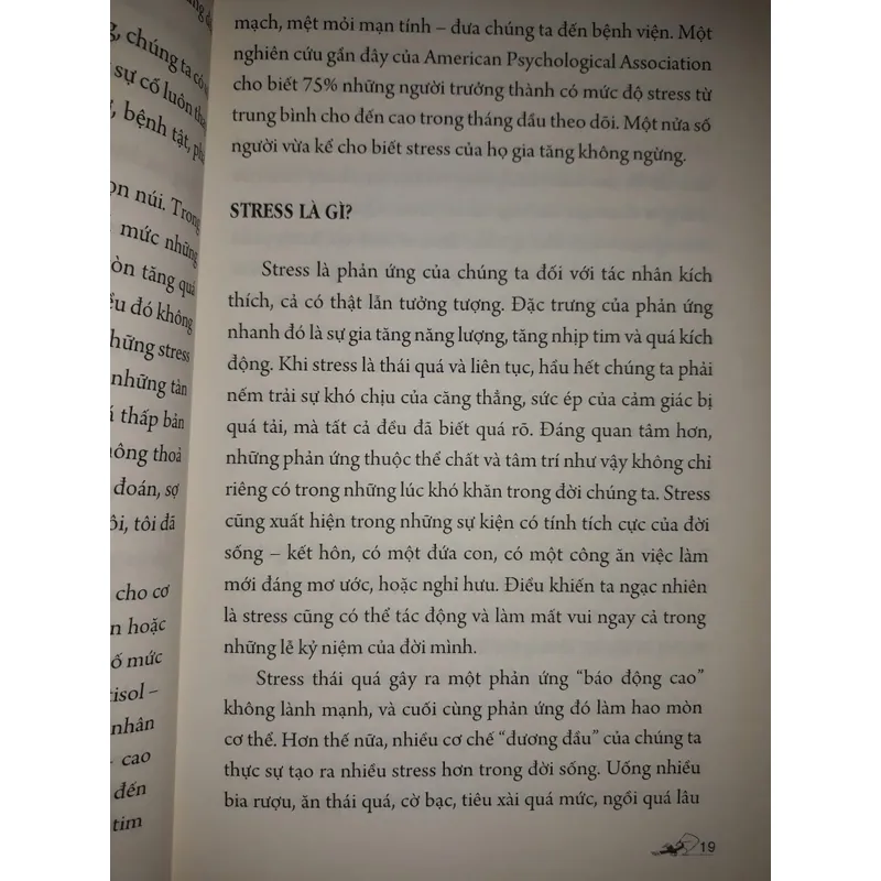 Những con đường tắt đến tâm an lạc 697862