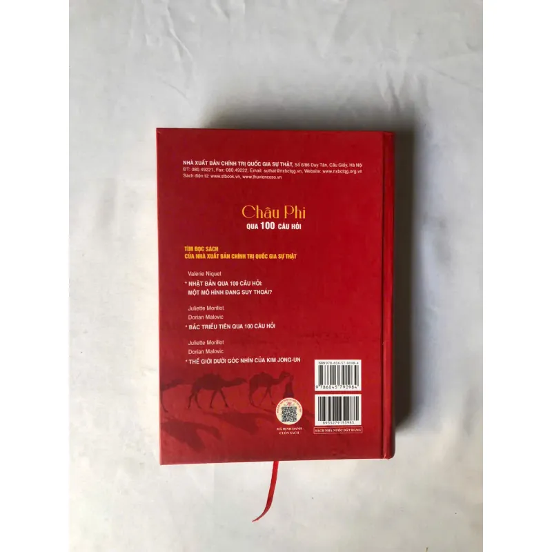 Châu Phi Qua 100 Câu Hỏi - Stephen Smith, Jean De La Guérivière 926823