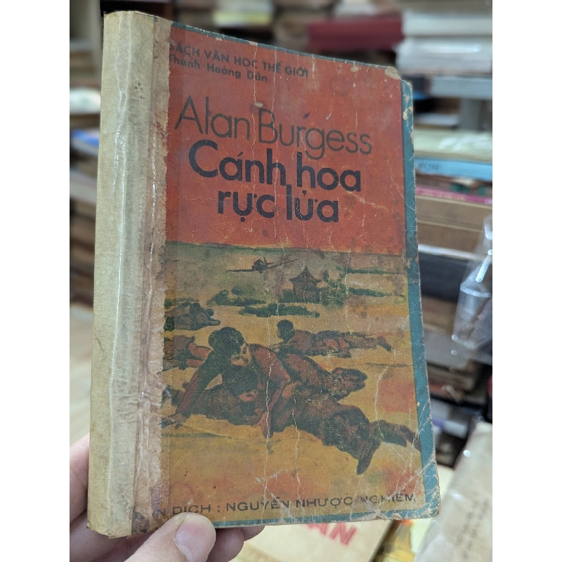 CÁNH HOA RỰC LỬA 132584