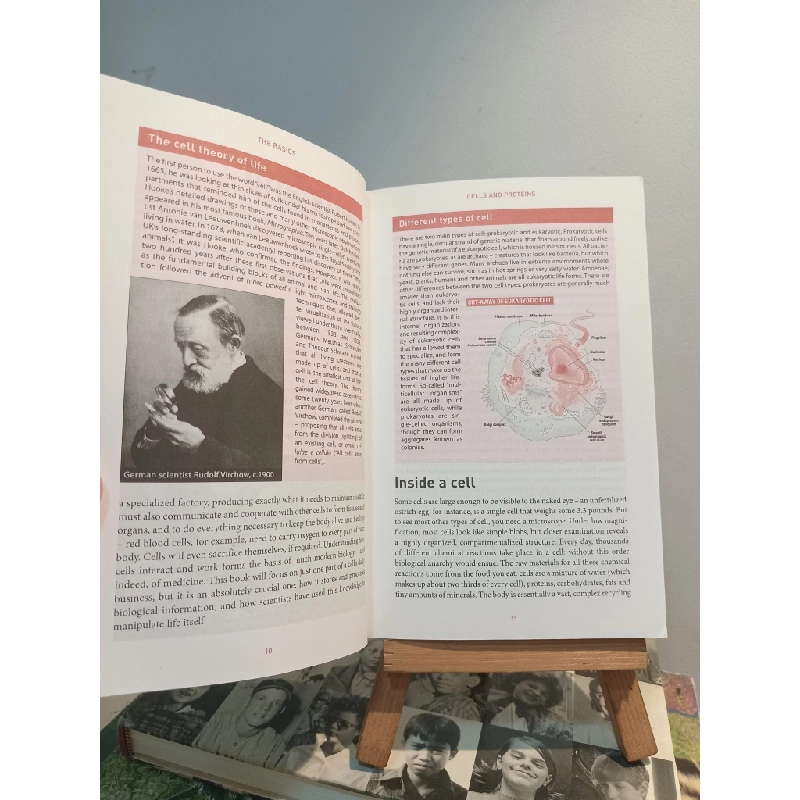 The Rough Guide to Genes & Cloning - Jess Buxton & Jon Turney 453730