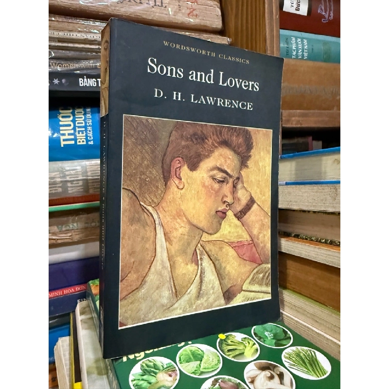 SONS AND LOVERS - WORDSWORTH CLASSICS - D. H. LAWRENCE 120672