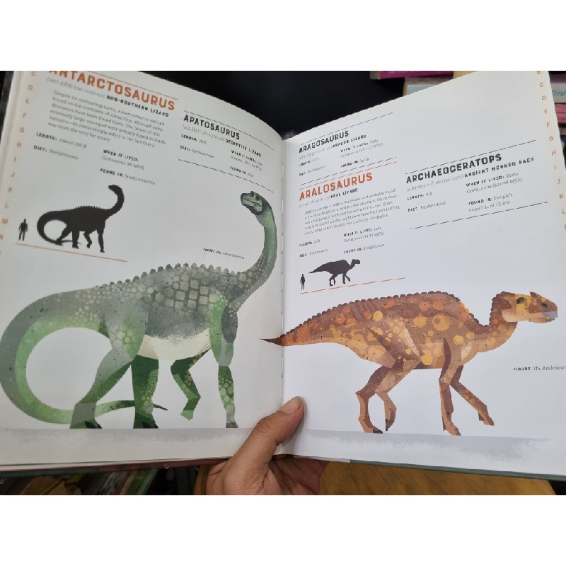 DICTIONARY OF DINOSAURS : AN ILLUSTRATED A TO Z OF EVERY DINOSAUR EVER DISCOVERED 119625