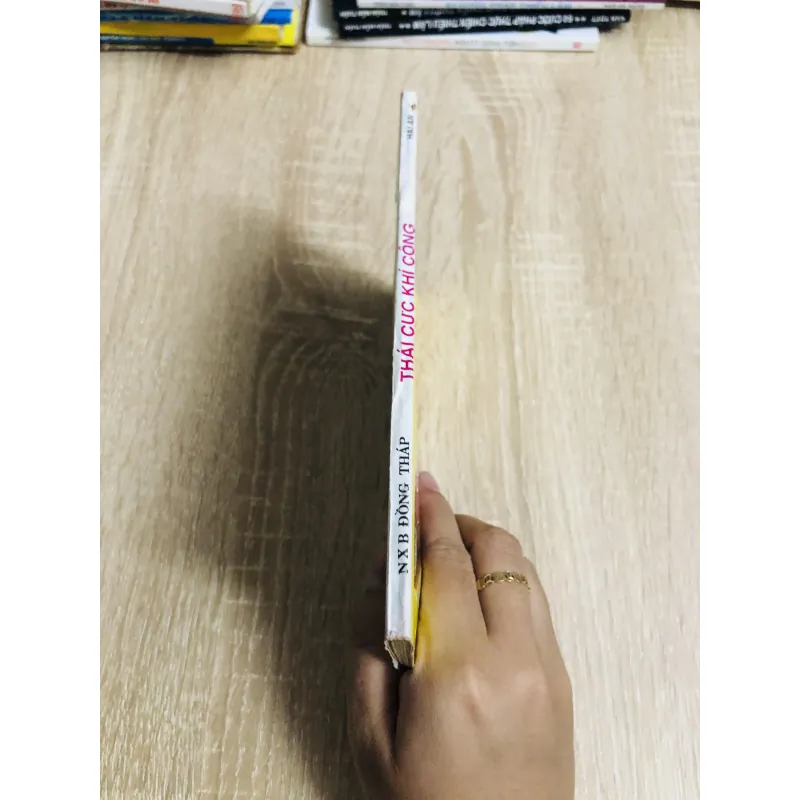 THÁI CỰC KHÍ CÔNG ( Hải Ân) 1011253