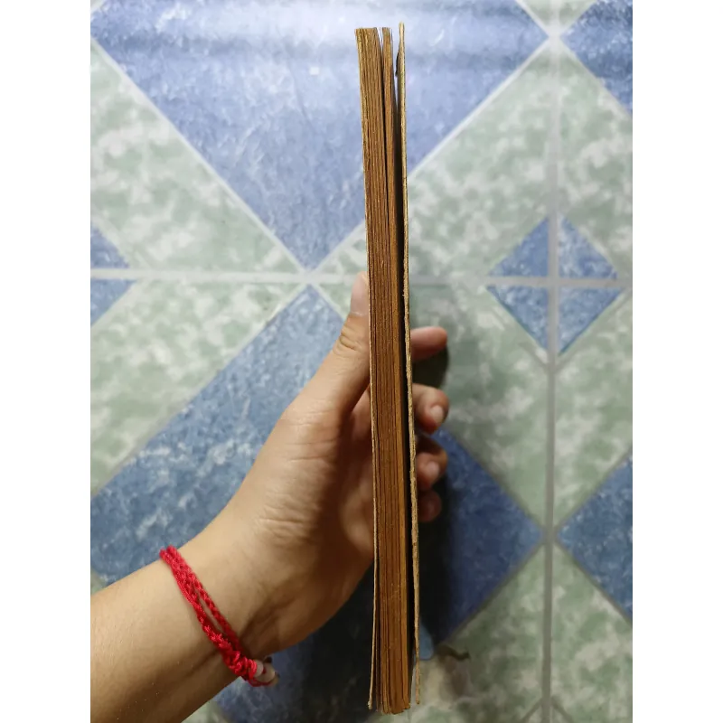 Kinh hồn không thủ đạo - Nguyễn Xuân Dũng 999219