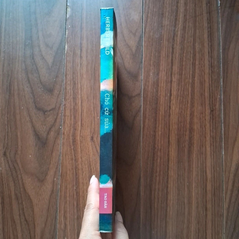 Chó cứ sủa  505350