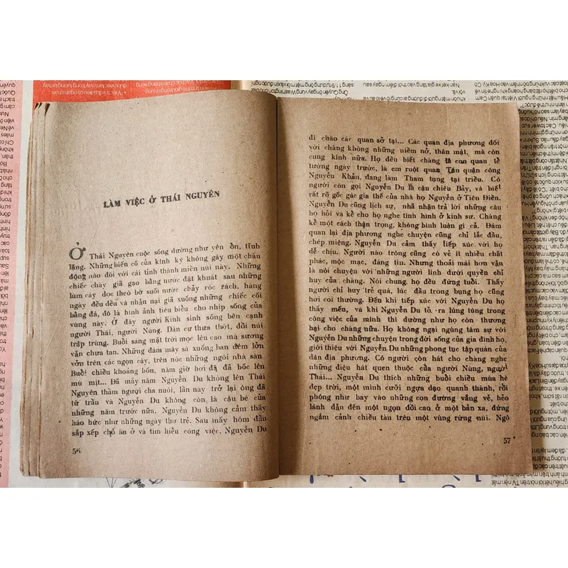 Nguyễn Lộc viết về đại thi hào Nguyễn Du 716324