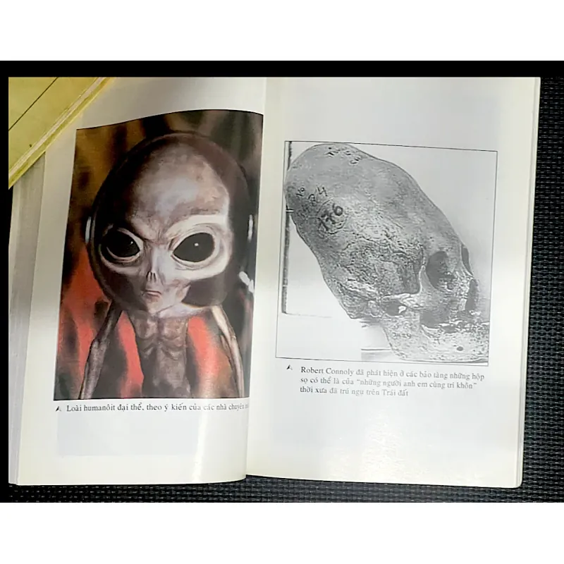 UFO ĐĨA BAY Đã hiện hữu đây rồi 998573