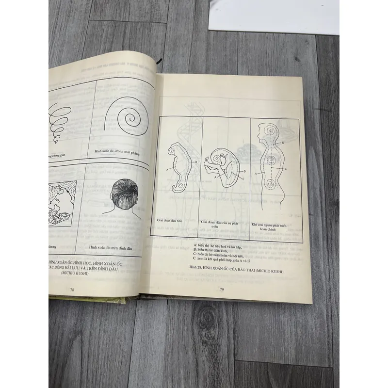 Tích hợp đa văn hoá đông tây cho một chiến lược giáo dục tương lai. 8b2 738673