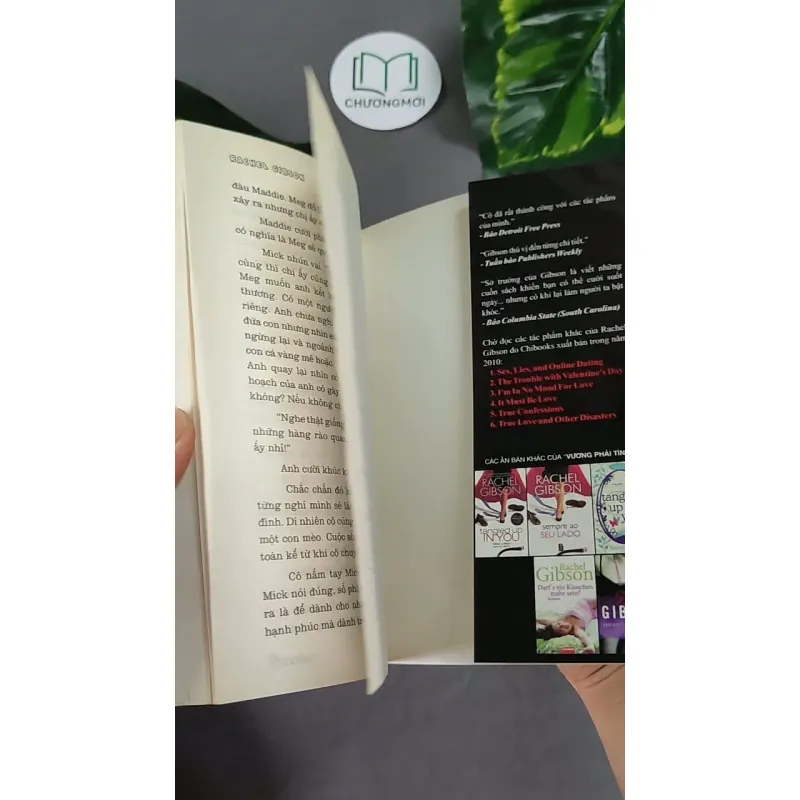 Vương Phải Tình Em - Rachel Gibson 604628