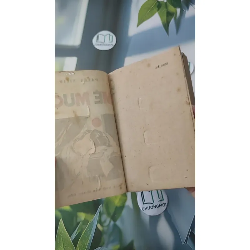 [XƯA] Mê Muội (1987) - Paven Nilin 997734