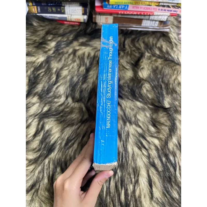 Studying Vietnamese 594203