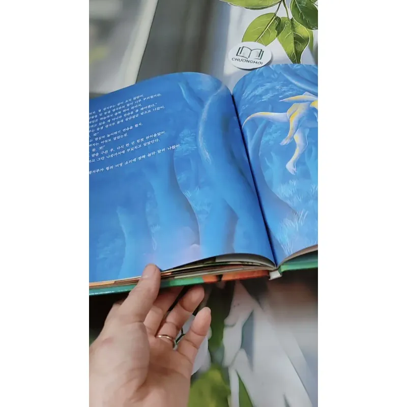 [Tặng nẹp góc] Truyện thiếu nhi Hàn Quốc: Moyamo Anu 28 -  모야모 아누와: 게으른 소년 코알라;. 캥거루의 털 732021