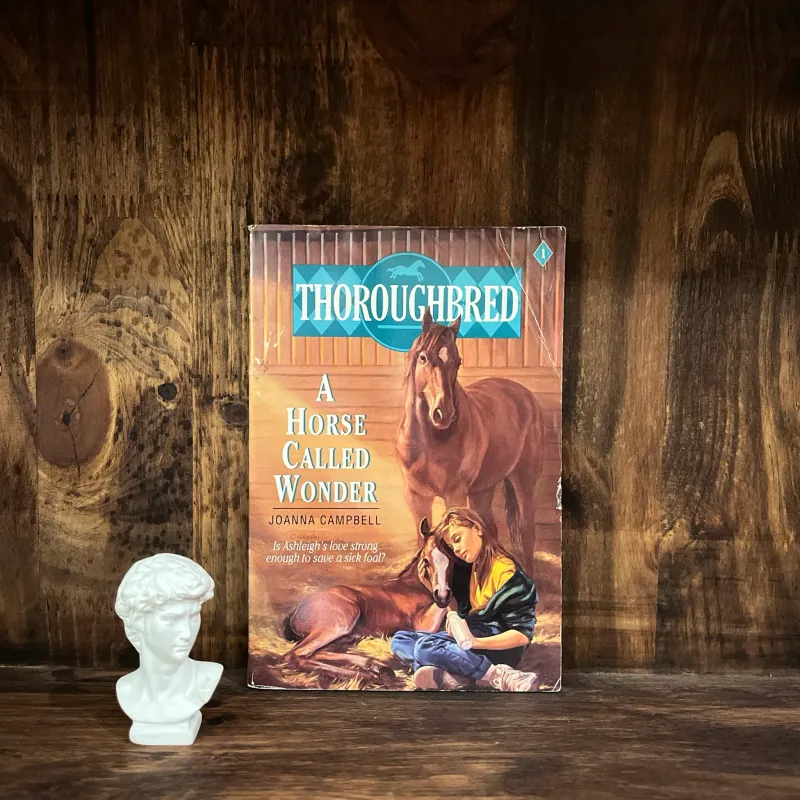 ✨𝑨 𝑯𝒐𝒓𝒔𝒆 𝑪𝒂𝒍𝒍𝒆𝒅 𝑾𝒐𝒏𝒅𝒆𝒓✨ 720056