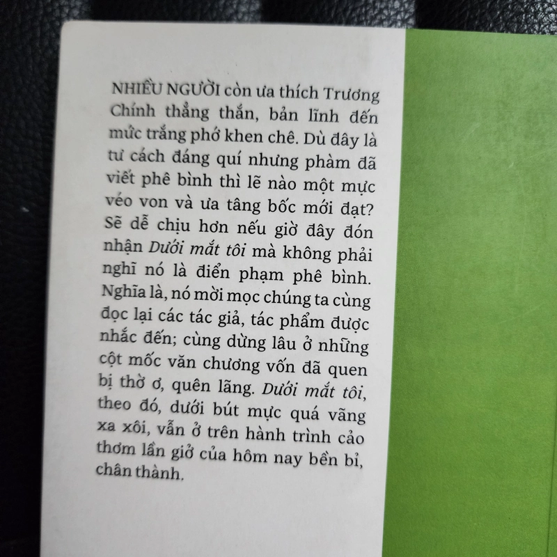 Dưới mắt tôi | Trương Chính 502325