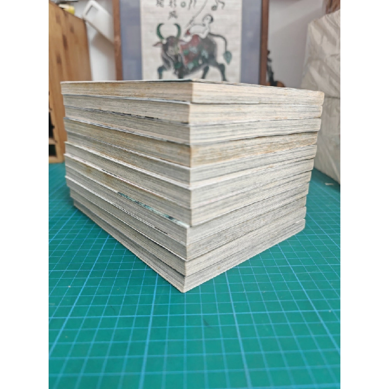 TRUYỆN TRANH TRƯỜNG CA HÀNH 309309