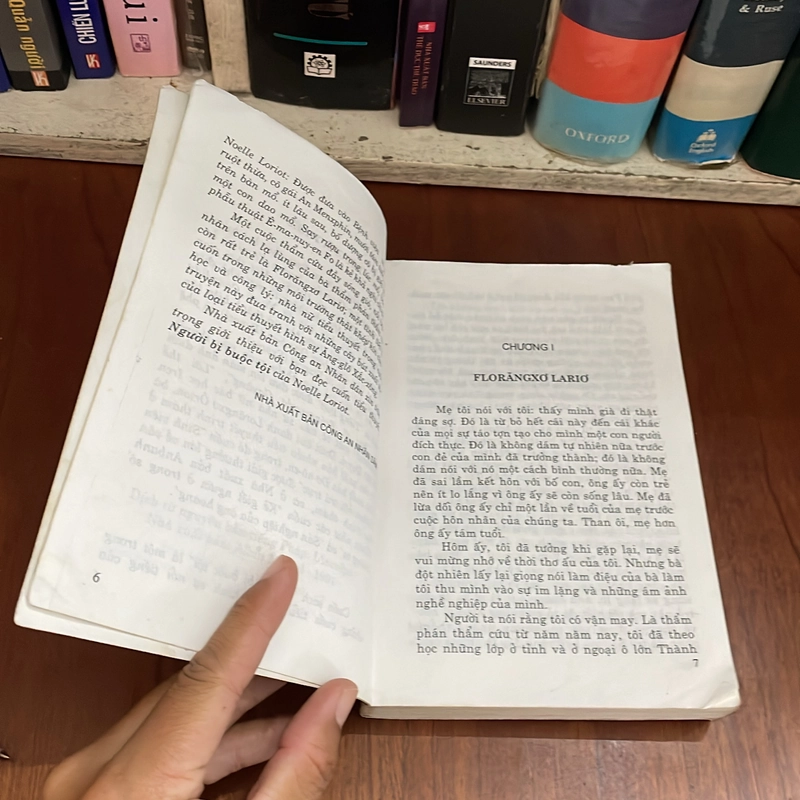 II Tựa sách: Người Bị Buộc Tội - NOELLE LORIOT - 2002 549280