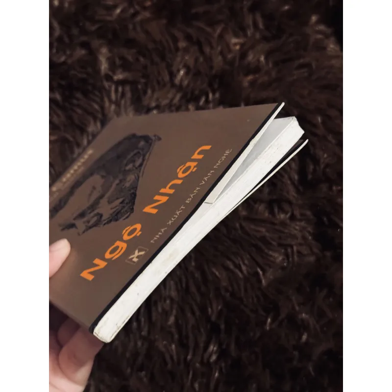 Ngộ nhận (Bùi Giáng dịch) 738122