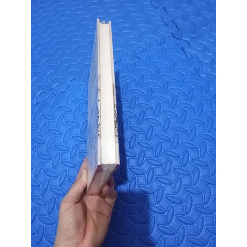 Lịch Sử Vương Quốc Đàng Ngoài  1044668