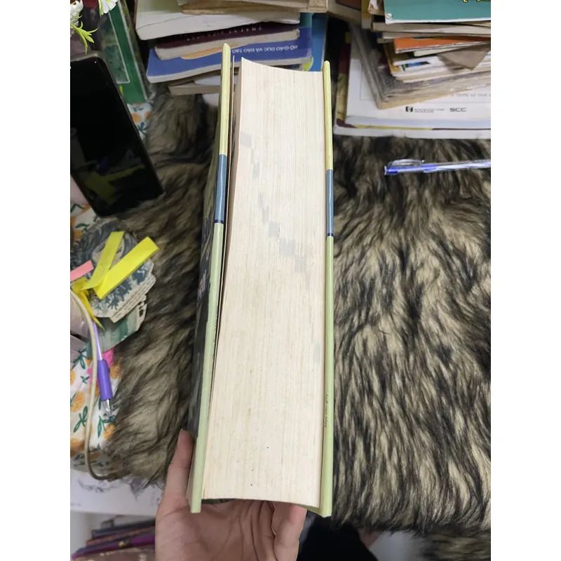 Đại từ Điển Hàn Việt  715410