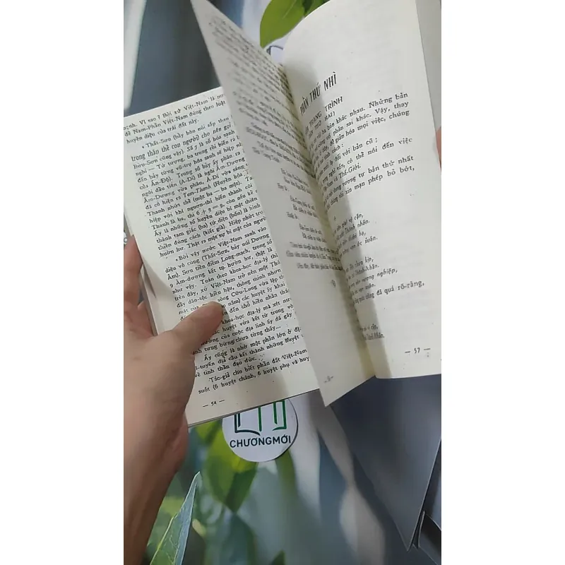 [MIỄN PHÍ BỌC SÁCH] Sấm Trạng Trình Dẫn Giải 928570