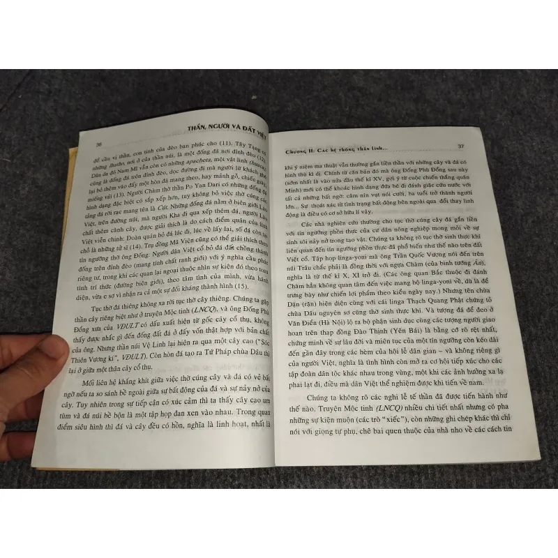 THẦN NGƯỜI VÀ ĐẤT VIỆT - TẠ CHÍ ĐẠI TRƯỜNG 957847