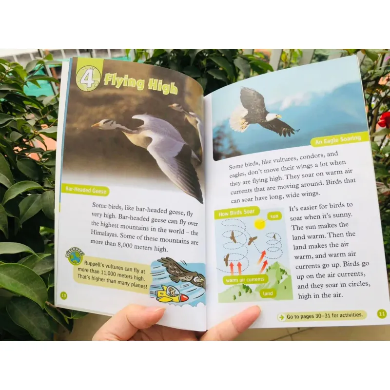 Oxford read and discover (Sách nhập) - Level 3 - 20 quyển + File Mp3 1038351