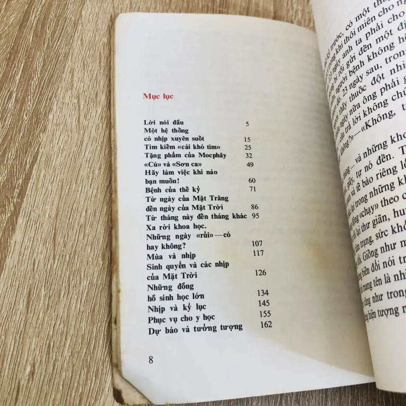 NHỊP ĐIỆU CUỘC SỐNG  929079