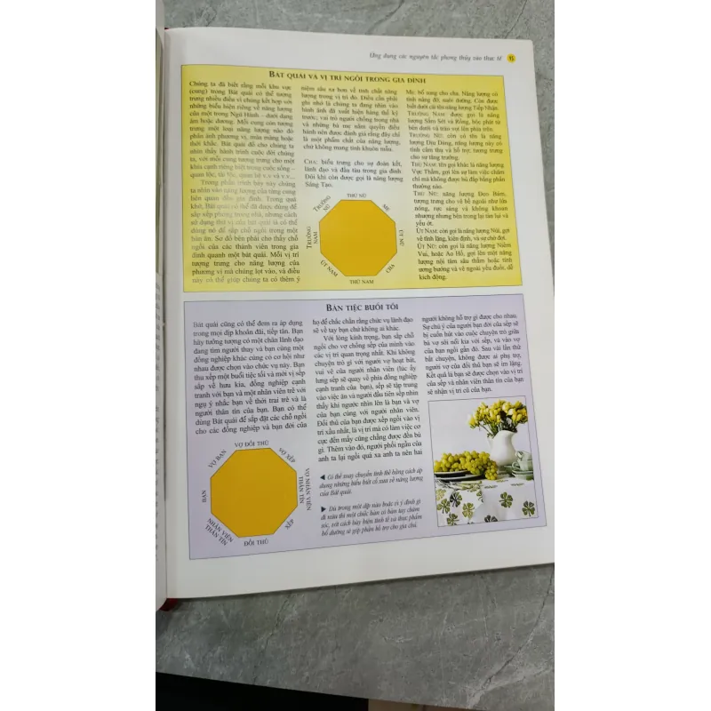 PHONG THỦY NGHỆ THUẬT BÀI TRÍ NHÀ CỬA THEO KHOA HỌC PHƯƠNG ĐÔNG - VŨ TÀI HOA 791852