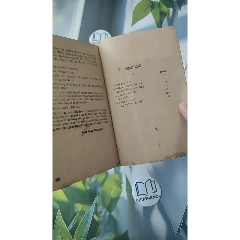 [XƯA] Mê Muội (1987) - Paven Nilin 997734